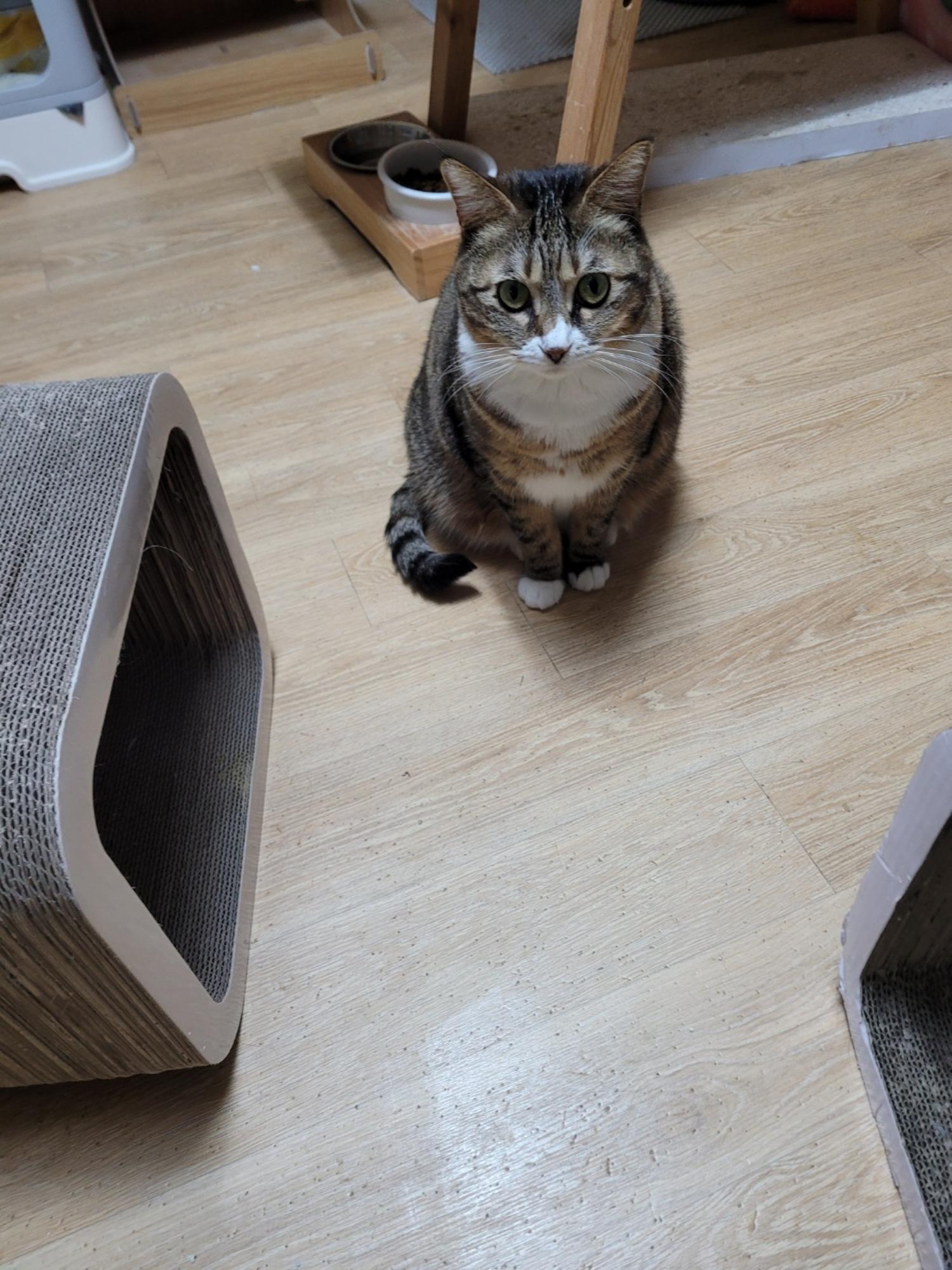 동대문구청_411305202500031